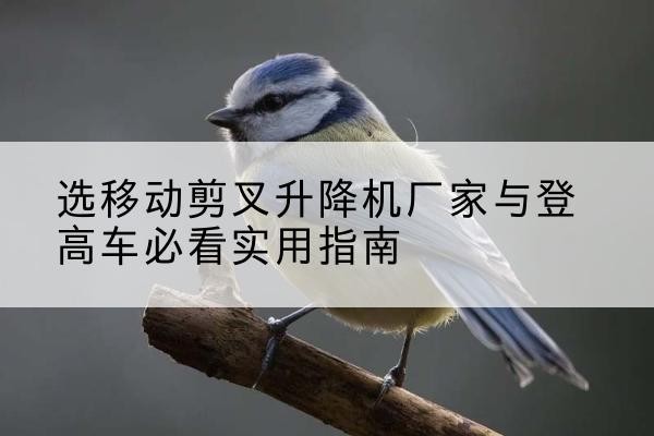 潍坊电动升降机厂家-选移动剪叉升降机厂家与登高车必看实用指南