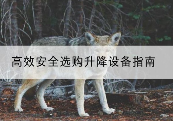 潍坊升降货梯厂家推荐-*安全选购升降设备指南