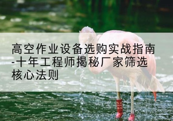 潍坊剪叉式升降机厂家-高空作业设备选购实战指南-十年工程师揭秘厂家筛选核心法则